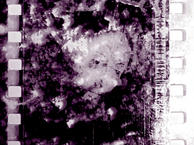 shapeimage_4
